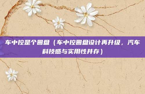 车中控是个圆盘(车中控圆盘设计再升级,汽车科技感与实用性并存)