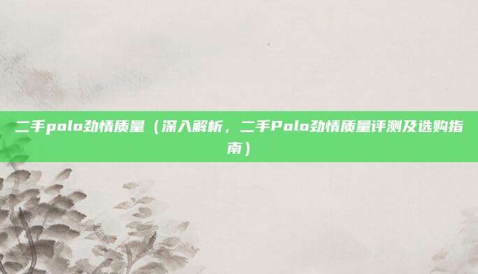 二手polo劲情质量(深入解析,二手Polo劲情质量评测及选购指南)