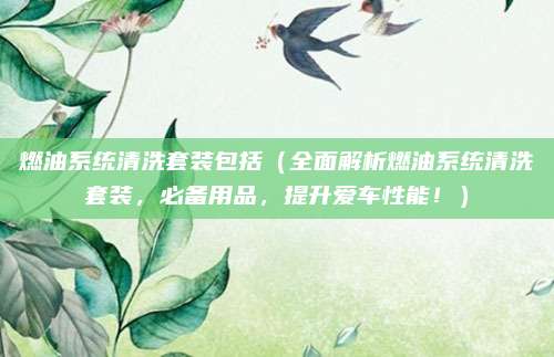 燃油系统清洗套装包括（全面解析燃油系统清洗套装，必备用品，提升爱车性能！）