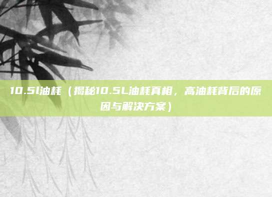10.5l油耗(揭秘10.5L油耗真相,高油耗背后的原因与解决方案)