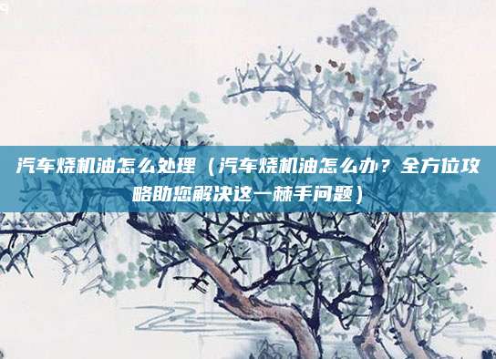 汽车烧机油怎么处理（汽车烧机油怎么办？全方位攻略助您解决这一棘手问题）