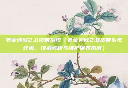 老蒙迪欧2.0皮带系统(老蒙迪欧2.0皮带系统详解,技术解析与维护保养指南)
