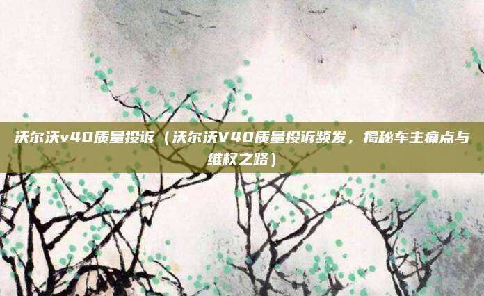 沃尔沃v40质量投诉（沃尔沃V40质量投诉频发，揭秘车主痛点与维权之路）