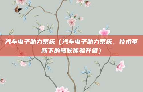 汽车电子助力系统(汽车电子助力系统,技术革新下的驾驶体验升级)