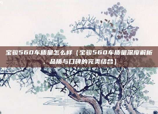 宝骏560车质量怎么样（宝骏560车质量深度解析，品质与口碑的完美结合）