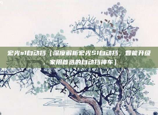 宏光s1自动挡(深度解析宏光S1自动挡,智能升级,家用首选的自动挡神车)