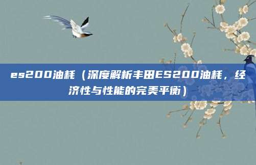 es200油耗(深度解析丰田ES200油耗,经济性与性能的完美平衡)