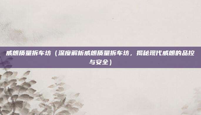 威朗质量拆车坊(深度解析威朗质量拆车坊,揭秘现代威朗的品控与安全)