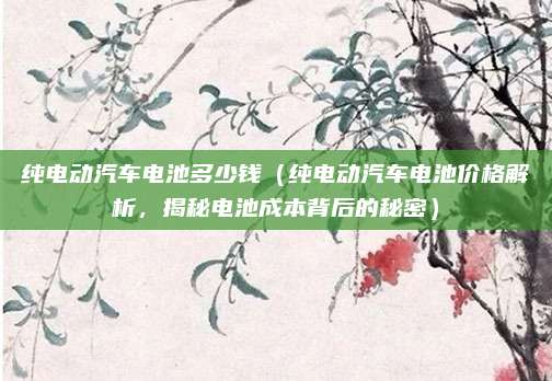 纯电动汽车电池多少钱（纯电动汽车电池价格解析，揭秘电池成本背后的秘密）