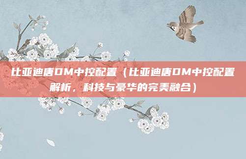 比亚迪唐DM中控配置（比亚迪唐DM中控配置解析，科技与豪华的完美融合）