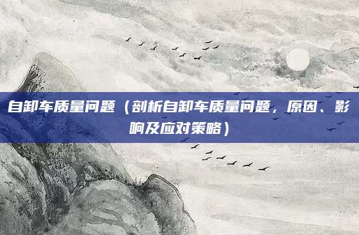 自卸车质量问题（剖析自卸车质量问题，原因、影响及应对策略）