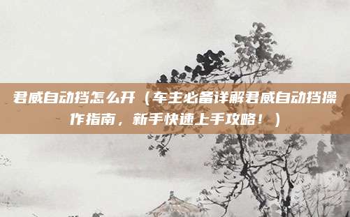 君威自动挡怎么开(车主必备详解君威自动挡操作指南,新手快速上手攻略!)