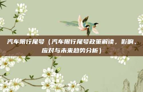 汽车限行尾号(汽车限行尾号政策解读,影响、应对与未来趋势分析)
