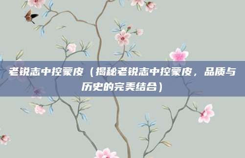 老锐志中控蒙皮(揭秘老锐志中控蒙皮,品质与历史的完美结合)