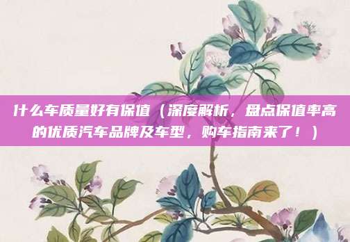 什么车质量好有保值(深度解析,盘点保值率高的优质汽车品牌及车型,购车指南来了!)