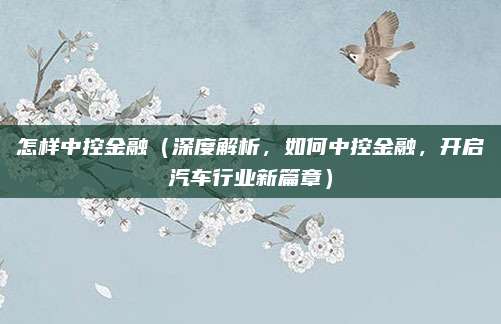 怎样中控金融（深度解析，如何中控金融，开启汽车行业新篇章）