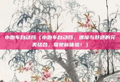 小跑车自动挡(小跑车自动挡,速度与舒适的完美结合,驾驶新体验!)