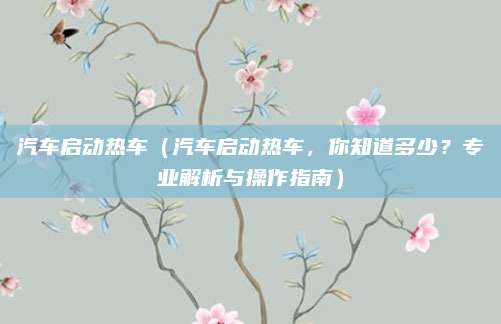 汽车启动热车（汽车启动热车，你知道多少？专业解析与操作指南）