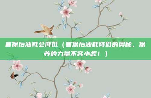 首保后油耗会降低(首保后油耗降低的奥秘,保养的力量不容小觑!)