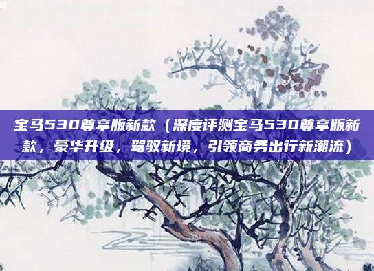宝马530尊享版新款（深度评测宝马530尊享版新款，豪华升级，驾驭新境，引领商务出行新潮流）
