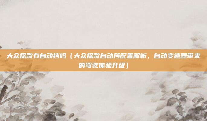 大众探歌有自动挡吗(大众探歌自动挡配置解析,自动变速器带来的驾驶体验升级)