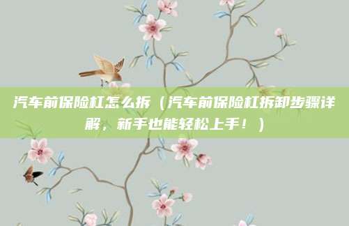 汽车前保险杠怎么拆(汽车前保险杠拆卸步骤详解,新手也能轻松上手!)