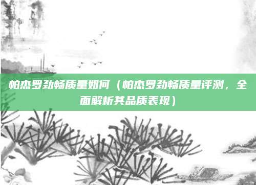 帕杰罗劲畅质量如何(帕杰罗劲畅质量评测,全面解析其品质表现)