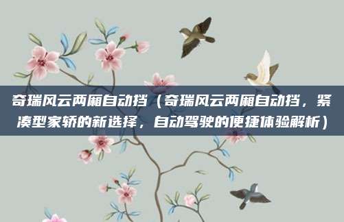 奇瑞风云两厢自动挡(奇瑞风云两厢自动挡,紧凑型家轿的新选择,自动驾驶的便捷体验解析)