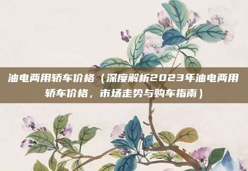 油电两用轿车价格（深度解析2023年油电两用轿车价格，市场走势与购车指南）