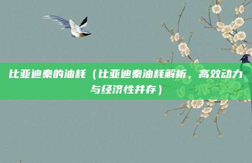 比亚迪秦的油耗（比亚迪秦油耗解析，高效动力与经济性并存）