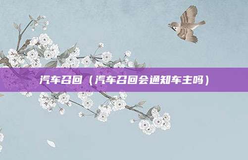 汽车召回(汽车召回会通知车主吗)