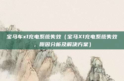 宝马车x1充电系统失效(宝马X1充电系统失效,原因分析及解决方案)