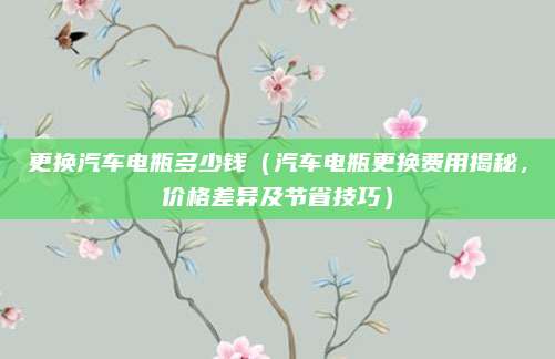 更换汽车电瓶多少钱（汽车电瓶更换费用揭秘，价格差异及节省技巧）
