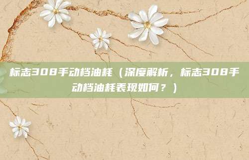 标志308手动档油耗（深度解析，标志308手动档油耗表现如何？）