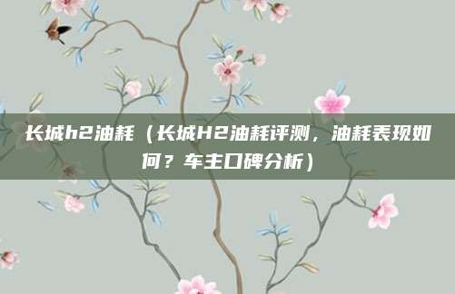 长城h2油耗（长城H2油耗评测，油耗表现如何？车主口碑分析）
