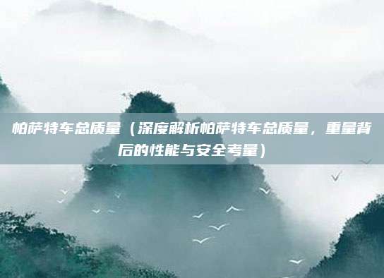 帕萨特车总质量(深度解析帕萨特车总质量,重量背后的性能与安全考量)
