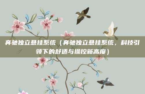 奔驰独立悬挂系统(奔驰独立悬挂系统,科技引领下的舒适与操控新高度)