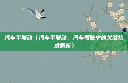 汽车半联动（汽车半联动，汽车驾驶中的关键技术解析）