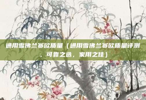 通用雪佛兰赛欧质量(通用雪佛兰赛欧质量评测,可靠之选,家用之佳)