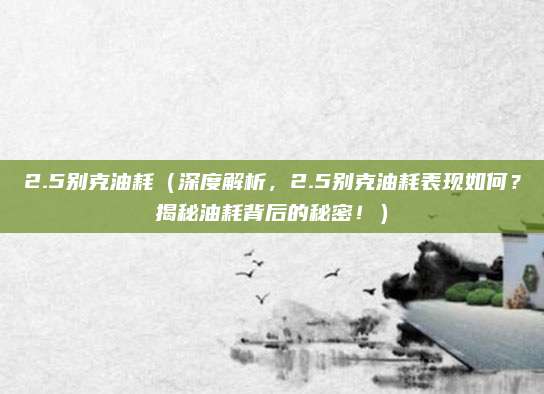 2.5别克油耗(深度解析,2.5别克油耗表现如何?揭秘油耗背后的秘密!)
