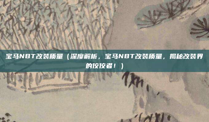 宝马NBT改装质量(深度解析,宝马NBT改装质量,揭秘改装界的佼佼者!)