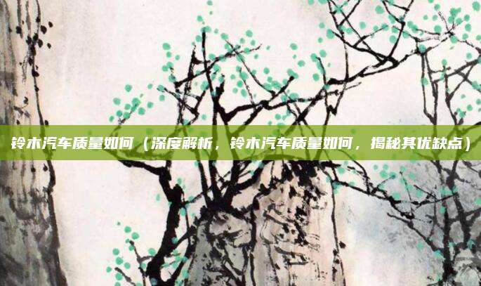 铃木汽车质量如何(深度解析,铃木汽车质量如何,揭秘其优缺点)