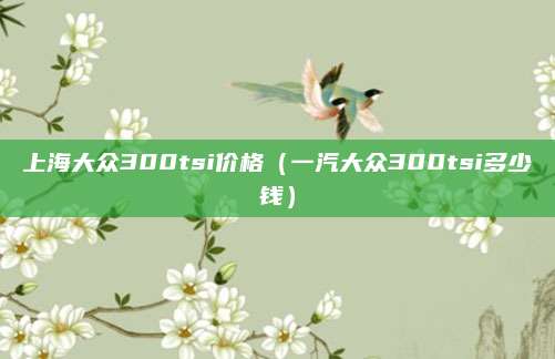 上海大众300tsi价格(一汽大众300tsi多少钱)