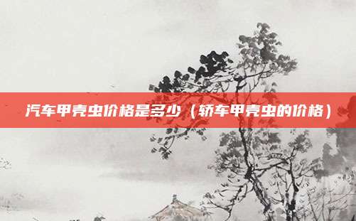 汽车甲壳虫价格是多少（轿车甲壳虫的价格）