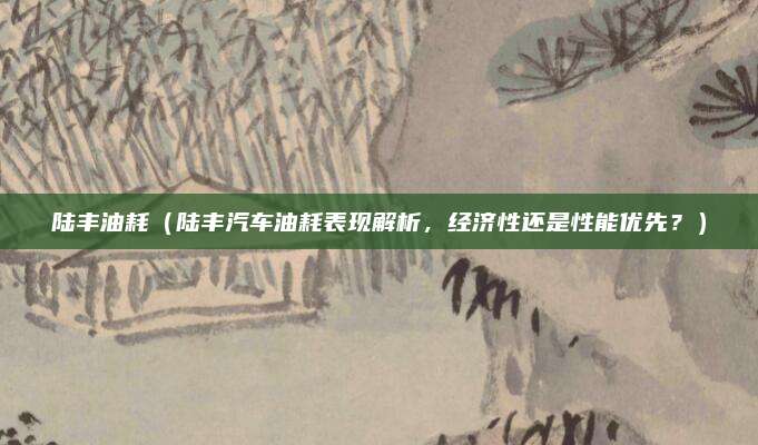 陆丰油耗（陆丰汽车油耗表现解析，经济性还是性能优先？）