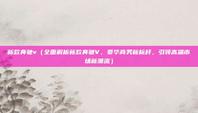 新款奔驰v(全面解析新款奔驰V,豪华商务新标杆,引领高端市场新潮流)
