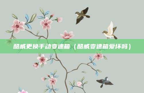 酷威更换手动变速箱（酷威变速箱爱坏吗）
