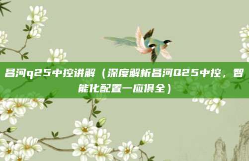昌河q25中控讲解(深度解析昌河Q25中控,智能化配置一应俱全)