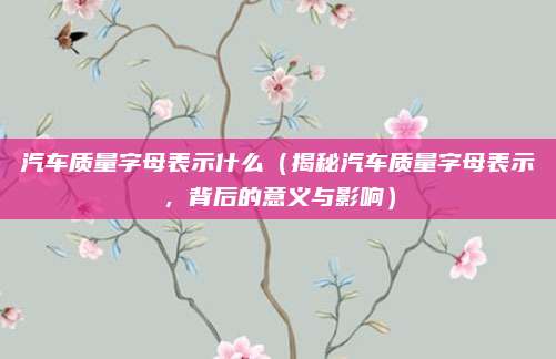 汽车质量字母表示什么(揭秘汽车质量字母表示,背后的意义与影响)