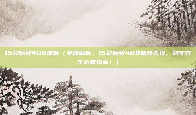 15款标致408油耗(全面解析,15款标致408油耗表现,购车养车必看指南!)